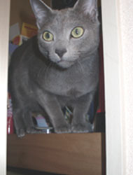 20050730