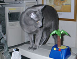 20050806
