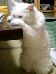 20050628