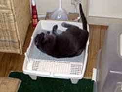 20050715