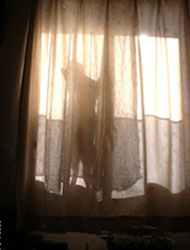 20050709