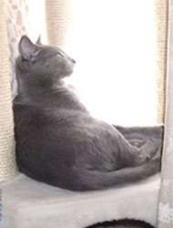 20050625