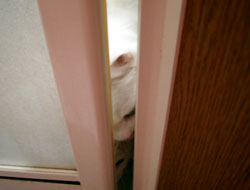 2005102301