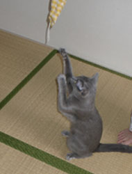 200506182