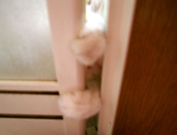 2005102302