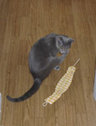 200506181