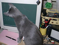 20050804