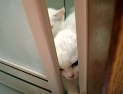 2005102304