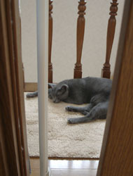 20050716