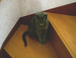 2005102307