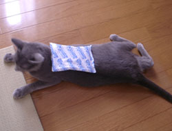 20050815