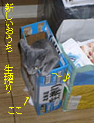 d040815