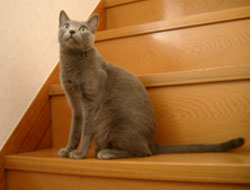 20050614