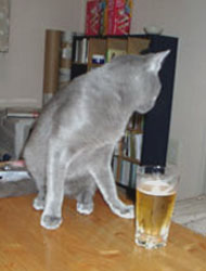 20050807