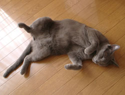 20050818