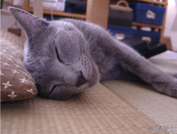 20050702