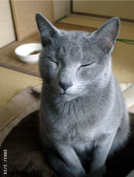 200507131