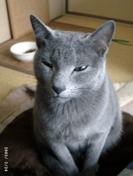 200507132