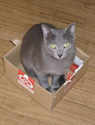 20050708