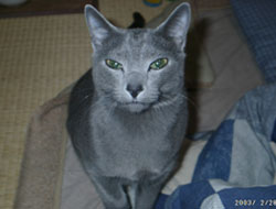20050722