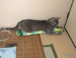 200507011