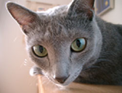 200507211