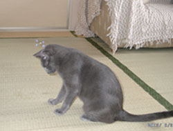 20050703