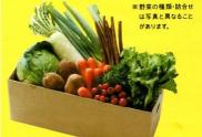 Ｐ＆Ｇ　有機野菜－ハガキ
