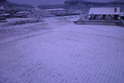 雪景色.JPG