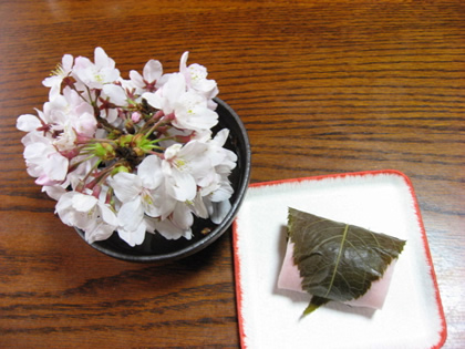 桜＆桜餅