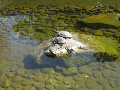 蚕糸公園２