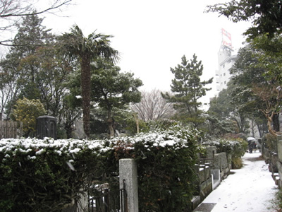 雪の霊園