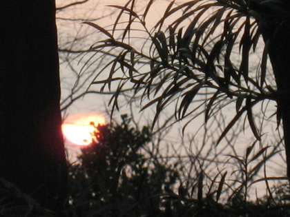 霊園夕日