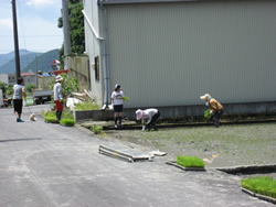 田植え