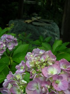 ０８０７１３大学院２