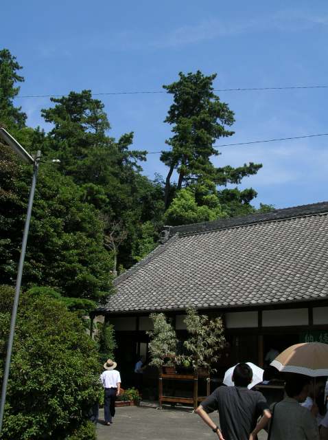 060810お寺。本堂前