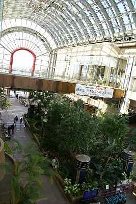 080114あいち健康の森３