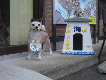 北山崎の売店の犬?