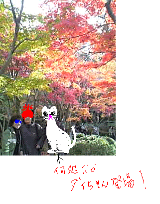 何故だかダイヤ登場！