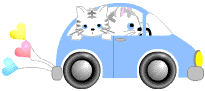猫と車