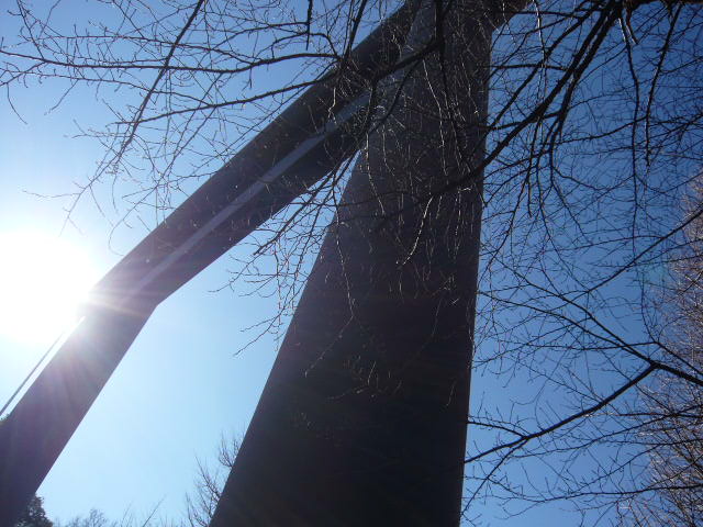 P1000884.JPG