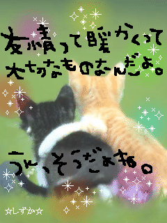ねこ２.gif