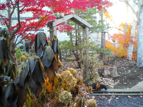nezumi09c.jpg