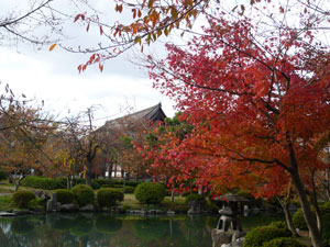 kyoto-006.jpg