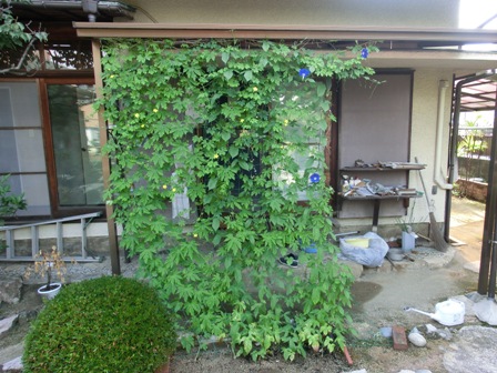 コピー ～ CIMG0927.JPG