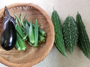 コピー ～ CIMG0922.JPG