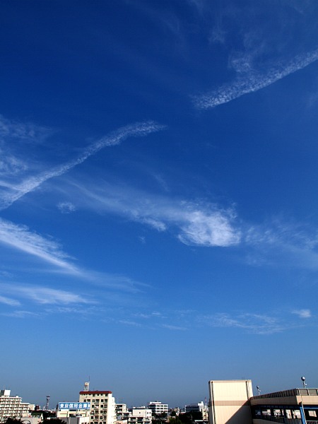朝の空