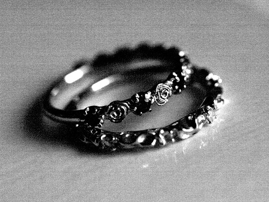 薔薇と蔦のモチーフ