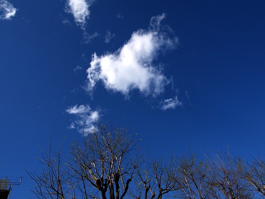 青空恋しい～～っ