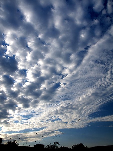 秋の空